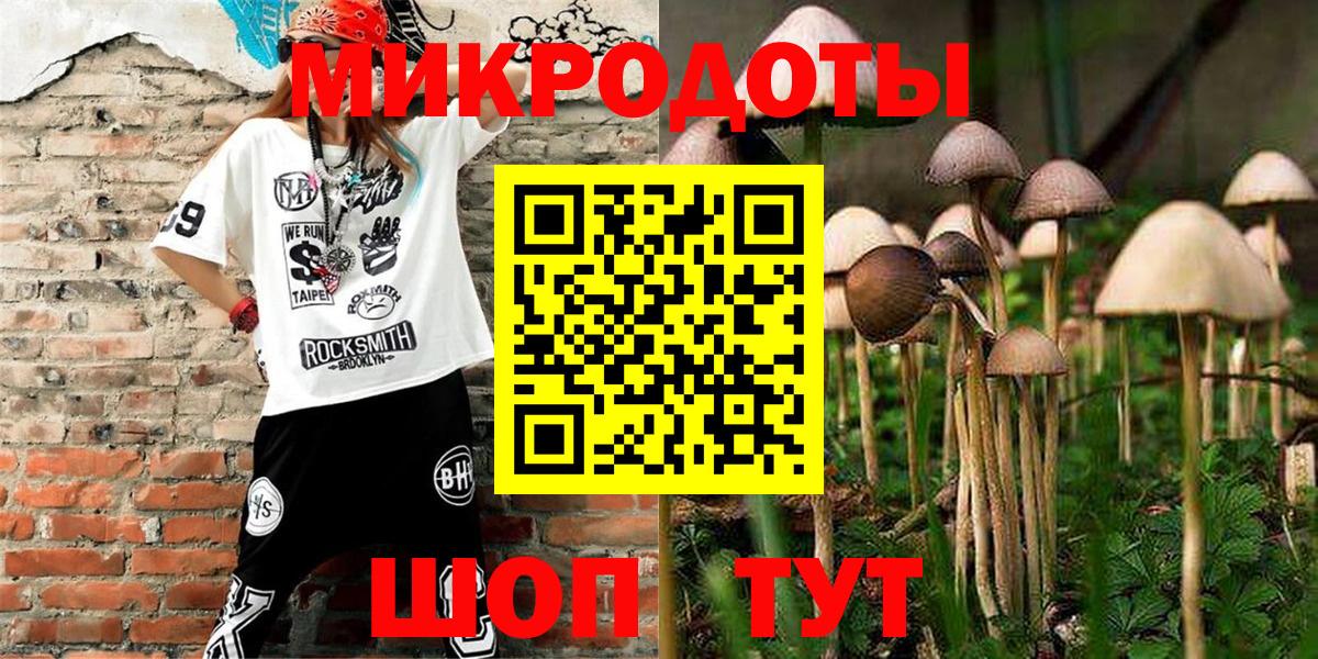 Псилоцибиновые грибы Cubensis Верхний Уфалей